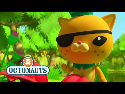 Octonauts Season 4 Exclusive Poison Dart Frogs