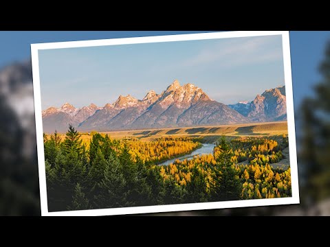 How this One Photo Got 20 Million Views!