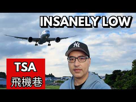 松山機場飛機巷 Ultimate Plane Spotting Guide Taipei ✈️
