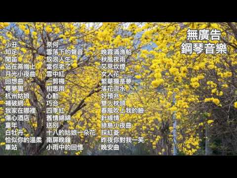 無廣告鋼琴演奏🎶首首動聽熟悉的旋律🎼🎶國語流行歌曲、台語經典傳唱、國語老歌精選、懷念民歌~公益活動表演現場收音完美呈現愛心響宴💞💞💞