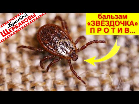 Бальзам ЗВЕЗДОЧКА против КЛЕЩЕЙ! Круто! Это тоже работает!