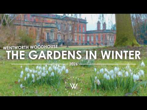 The Gardens in Winter | #wentworthwoodhouse |