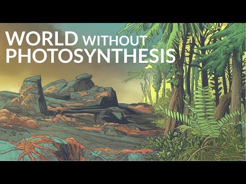 What Would The Earth Be Like Without Photosynthesis?