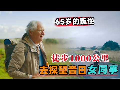 65岁叛逆老baby临时起意，徒步1000公里去看望昔日女同事！一口气看完《一个人的朝圣》#大鱼解说