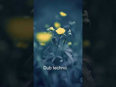 Experimental Dub Techno