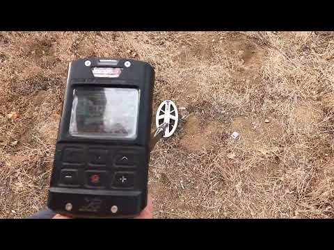 Another Small Gold Comparison XP Deus 2 HF vs Manticore M8