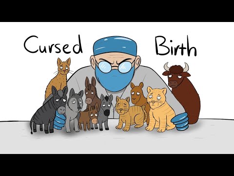 Why it Sucks to Be a Human-Created Animal