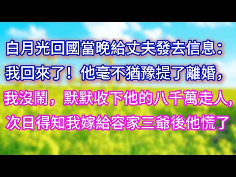 【完结】白月光回國當晚給丈夫發去信息:我回來了!他毫不猶豫提了離婚,我沒鬧,默默收下他的八千萬走人,次日得知我嫁給容家三爺後他慌了