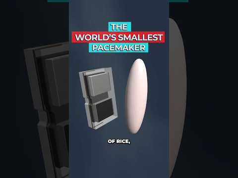 Engineers Just Created the World's Smallest Pacemaker