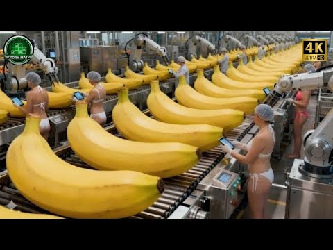 Inside a Modern Banana Chip Factory: From Fresh Bananas to Crispy Fruit Chips (Full Process)