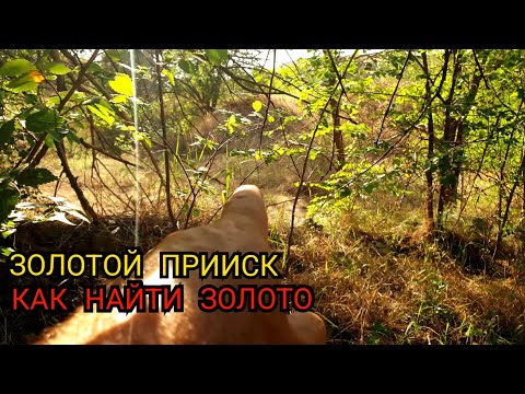ЗОЛОТОЙ ПРИИСК КАК НАЙТИ ЗОЛОТО