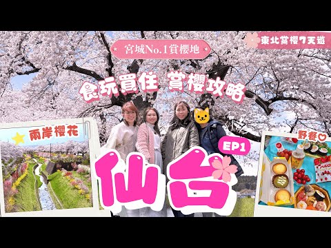 人生看過最夢幻櫻花奇景？!✨4個女生玩轉#仙台 🍻美食購物🛍️酒店🌸賞櫻攻略【東北7天遊EP1】白石川堤千本櫻．船岡城址公園｜牛舌🥩山形牛🔥+超長商店街血拼🛒｜仙台自由行2025｜日本自由行｜宮城縣