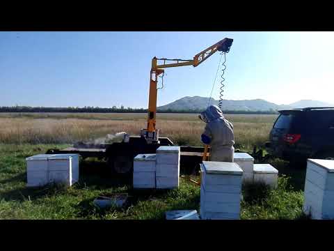Работа манипулятора пасечного "Медуница" (часть 1)