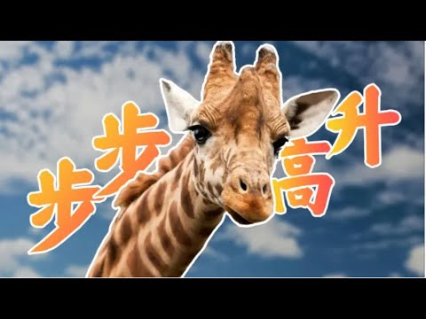 【鬼谷闲谈】长颈鹿：我为什么high到不行