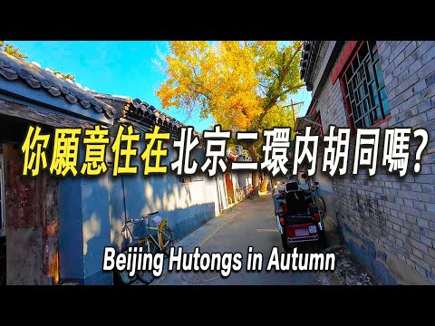 你願意住在北京二環内大雜院嗎？北平的秋天是什麽樣？老北京人都是富人嗎？逛一逛看 一看北京二環内的胡同真實的樣子。跟你們想象的完全不同。