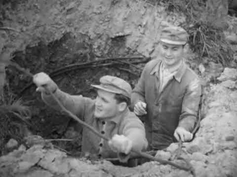 Tongraben bei den Töpfern am Soonwald