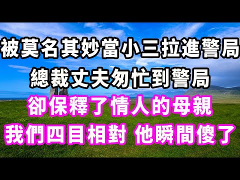 被莫名其妙當小三拉進警局，總裁丈夫匆忙到警局，卻保釋了情人的母親，我們四目相對，他瞬間傻了#爽文#大女主#現實情感#家庭