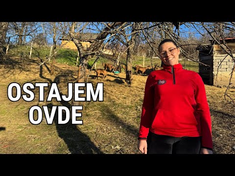 Ima 20 godina i 23 koze: Zaradila berući maline da bi sačuvala dedovinu