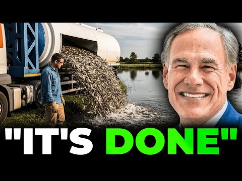 Texas Was Mocked For Dumping Thousands of Mosquitofish Into Ponds. The Results Might Shock Them