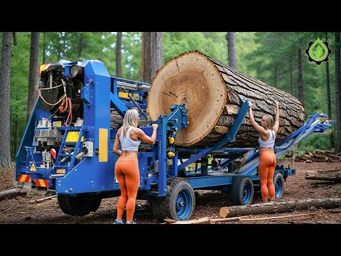 Fastest Biggest Firewood Processing Machine | Dangerous Big Chainsaw Cutting Tree machines #40