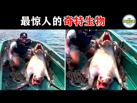 海上捕获的可怕共生体吓坏科学家！地球上最惊人的奇特生物！丨地球之最#冷知识 #排名 #世界之最#惊人发现#最惊人的#世界之最top#出类拔萃#top10#top15#奇异生物#怪异生物#奇特生物