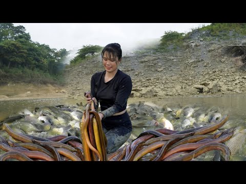 How to harvest 20kg of field eels and lake fish by hand from an 18-year-old single girl