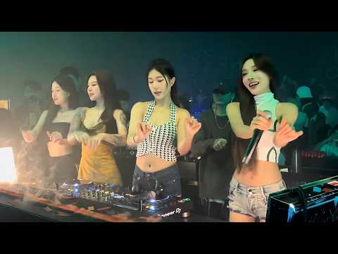 1 Hour | 蒋雪儿 - 梦的翅膀受了伤 (Dj许清 ProgHouse Rmx 无心睡眠鼓) Đôi Cánh Của Giấc Mơ Bị Tổn Thương - Jiang Xueer