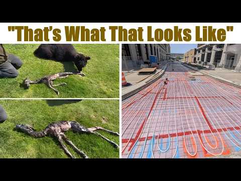 Captures That Will Make You Say, "So That’s What That Looks Like"