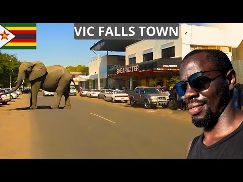 Victoria Falls Tour 🇿🇼