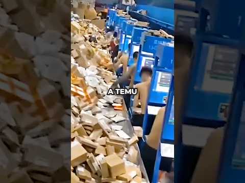 The DARK SIDE of TEMU… #shorts