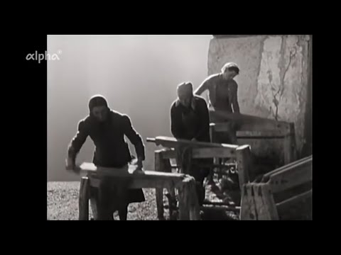 Auf dem Holzweg in die Zukunft (1966)