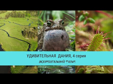 Удивительная Дания, 4 серия / Рейтинг 9,8 / Документальный фильм (2020)