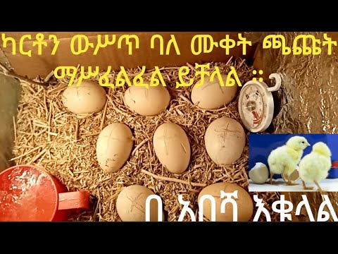 በ ቤት ውሥጥ የሚሠራ የጫጩት ማሥፈልፈያ ማሽን - Home Made Incubator For Chicken Eggs