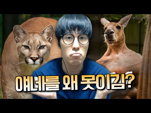 늑대 토론의 시초! 퓨마를 이기는 남자