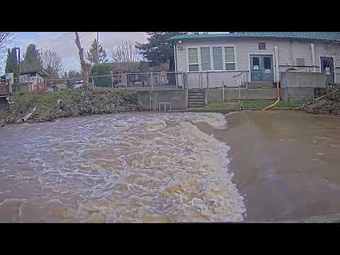 Issaquah SalmonCam