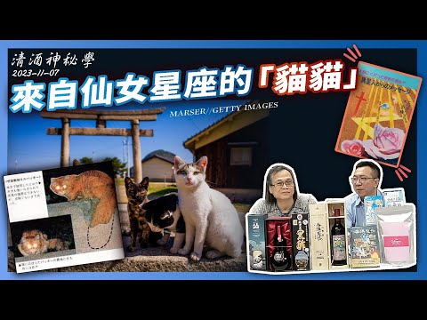 清酒神秘學 2023-11-07: 來自仙女星座的「貓貓」、網聚活動公佈 | 主持：台長 Laurence