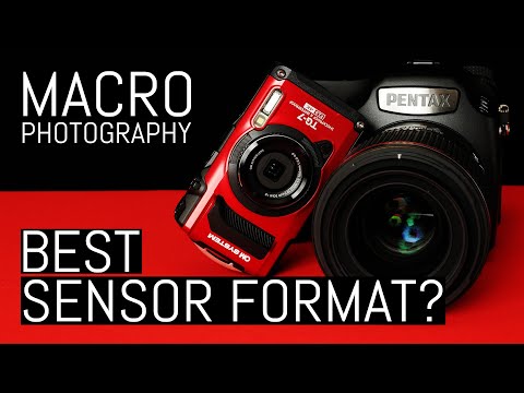 The Best Sensor Format for Macro Photography: Debunking the Myth