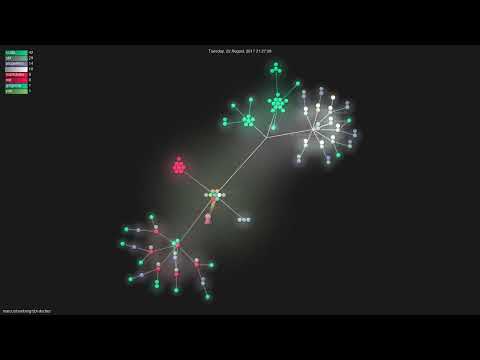 marcuslonnberg/sbt-docker - Gource visualisation