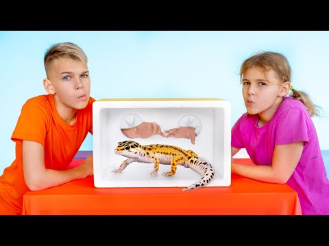 Izazov Misterioznih Kutija sa Superherojima | Porodične Avanture