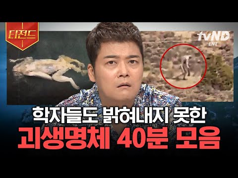 [#티전드] 쥐+도마뱀+인간의 특징이 합쳐진 괴생명체!😨 지구 곳곳에서 발견된 정체를 알 수 없는 생명체 모음🌌 | #프리한19