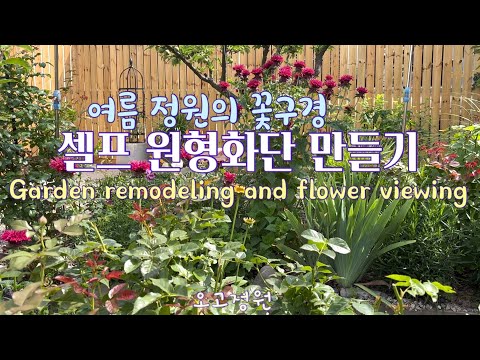 #42, 알콩달콩 셀프 정원공사 하기 / 돈 한푼 안들이고 화단 식물 조성하기 / 여름 정원의 꽃 /