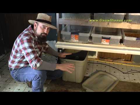 DIY Fodder System Cheap Livestock Winter Food