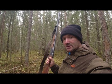 Редкое событие: Охота на глухаря с подхода. Неожиданный результат!