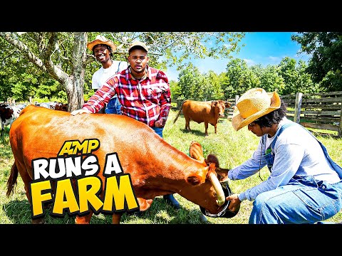 AMP RUNS A FARM