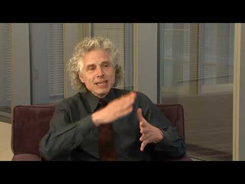 Steven Pinker (Uncut)