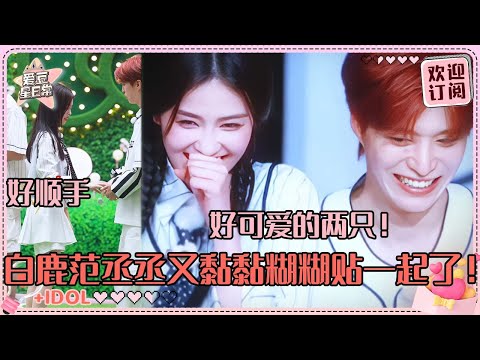 范丞丞给白鹿揣手机！我们大白米饭终于崛起了！丞丞换水枪照顾鹿鹿好贴心！#范丞丞 #白鹿 #奔跑吧 #娱乐 #搞笑 #爱豆星日常 #cp