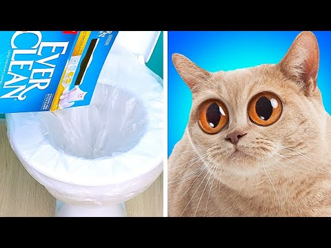 26 TRUCOS PARA EL BAÑO y soluciones a tus problemas delicados