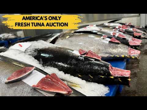 Inside America’s Only Fresh Tuna Auction + Hawaii’s Largest Whiskey Bar