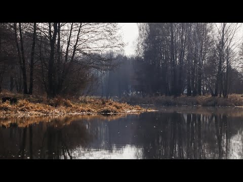 The crucian carp bites better on the float than in the summer. It's early, and the locals are cho...