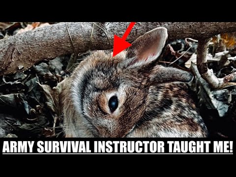 The Tricks the Army Teaches SERE Students to Snare Rabbits in the Wild!